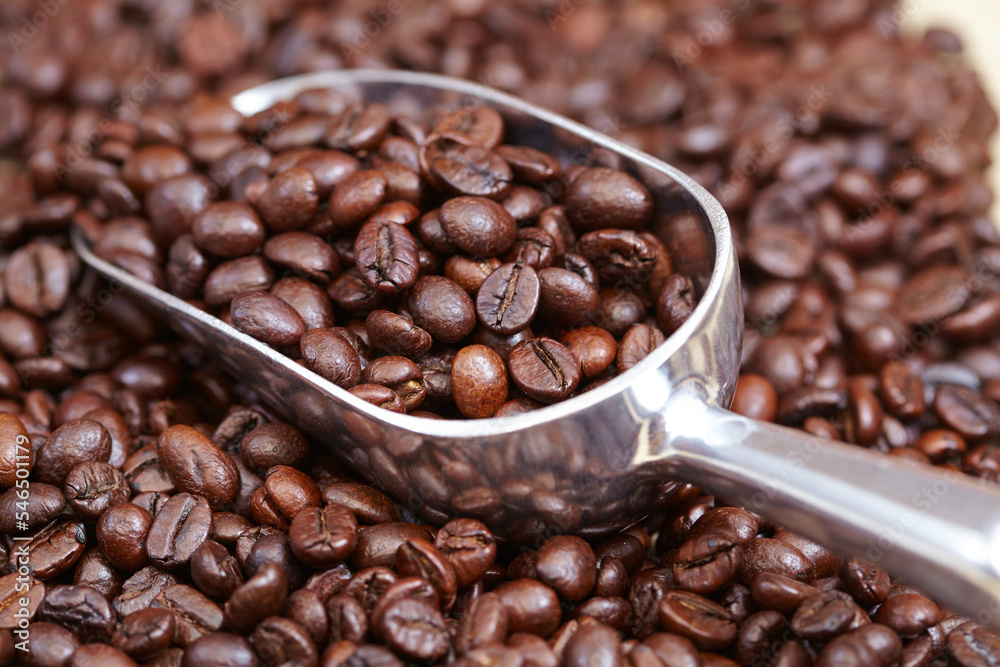 Fototapeta premium coffee beans in the spoon