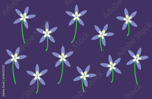 Wahlenbergia Stricta, Australian bluebell flower pattern.