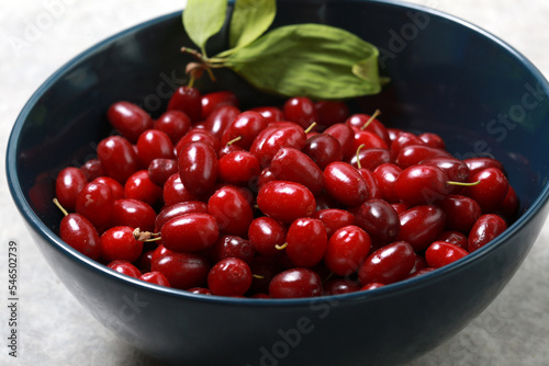 Close-up red ripe dogwood in a blue bowl