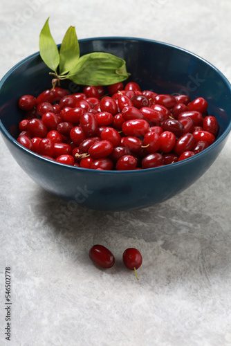 Close-up of a red ripe dogwood in a blue bowl on a light background