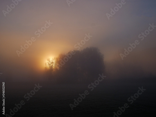Sunrise in a foggy landscape