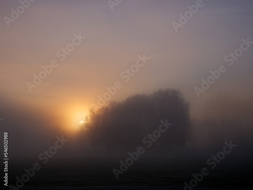 Sunrise in a foggy landscape