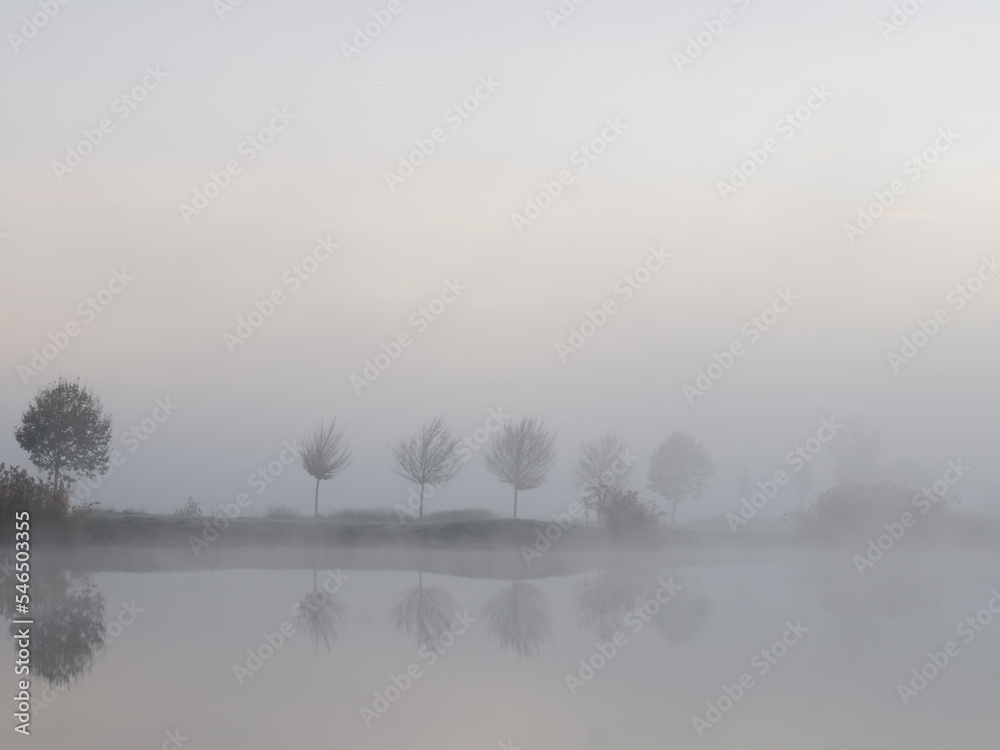 Naklejka premium fog on the river