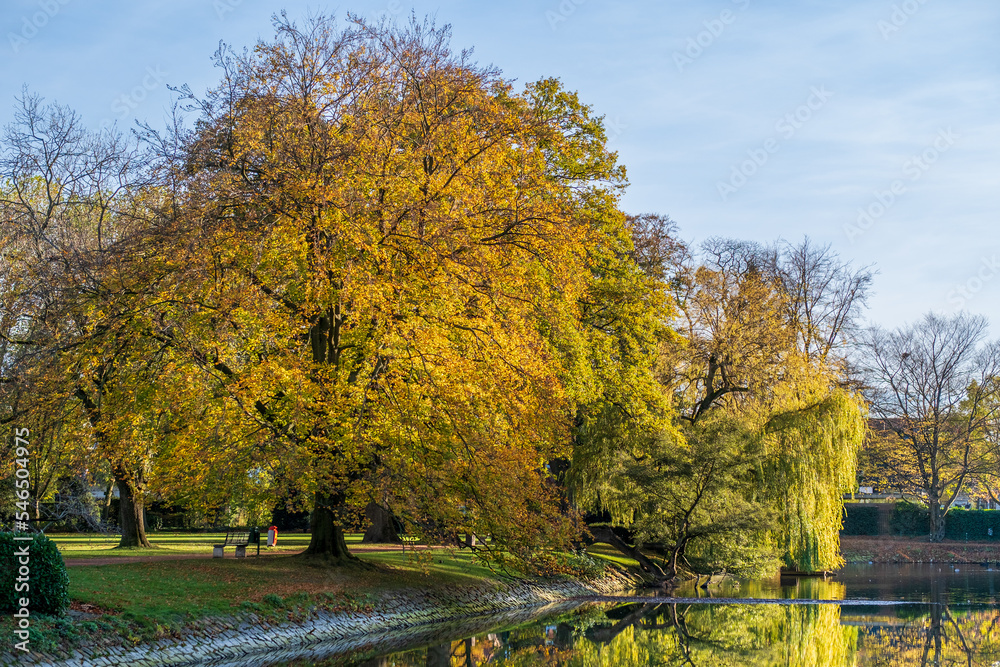 Tree reflections in the lake. Parks in the fall. Schloss Ahaus in Germany Tree reflections in the lake. Parks in the fall. Schloss Ahaus in Germany