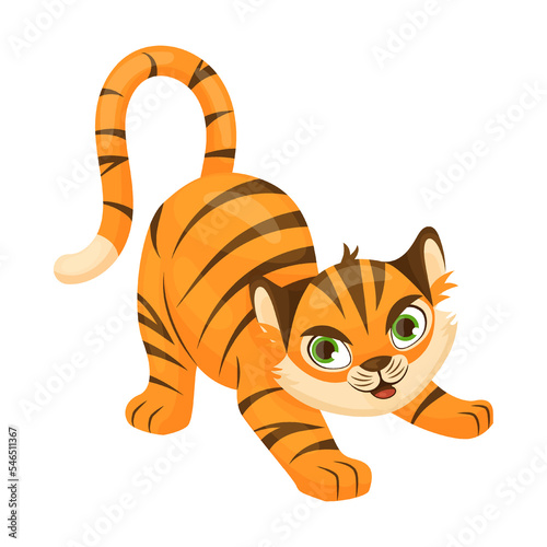 Funny tiger growls and hunts, cartoon character vector illustration. Orange animal with cute muzzle sitting, waving and smiling, symbol of 2022