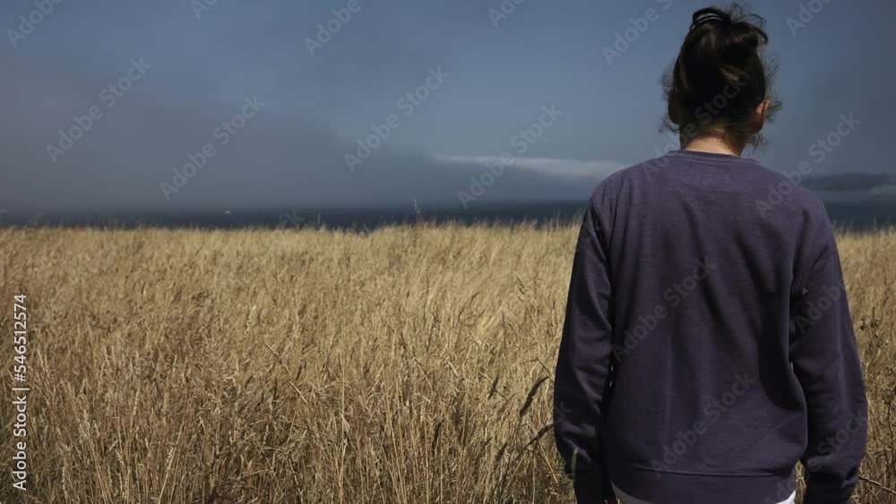 Girl, the view from the back walks through a field with yellow grass against the background of the ocean and fog with clouds. Girl, the view from the back walks through a field with yellow grass against the background of the ocean and fog with clouds.