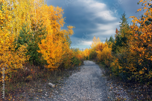 Colorful golden autumn landscape with different color trees, cloudy sky and road.