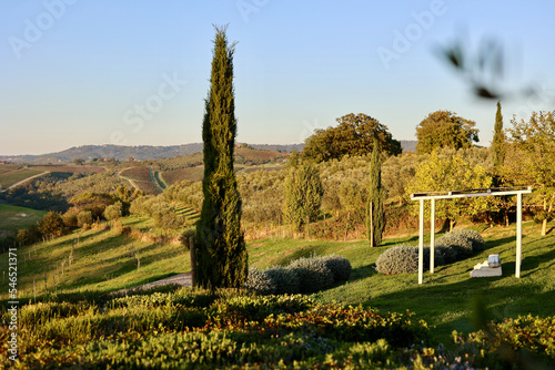 The garden with bench of a country house in the famous Tuscan hills  Tuscany  Italy.