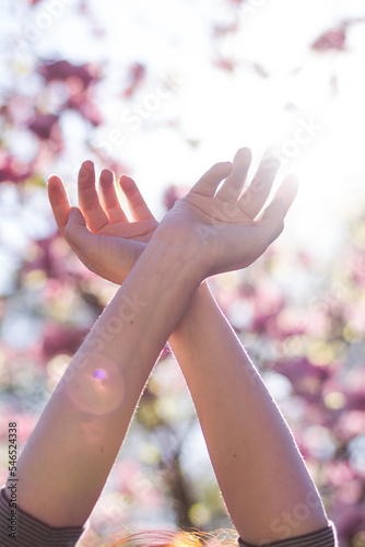 Close up hands up concept photo. Posing lady. Spring time. Front view photography with blooming magnolia on background. High quality picture for wallpaper, travel blog, magazine, article