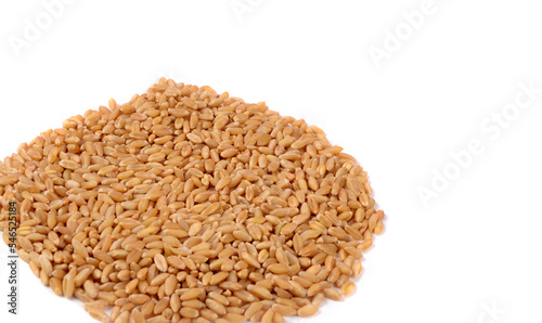 Wheat pile heap, isolated on white background with copy space