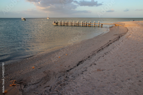 beach and indian ocean at shark bay in australia