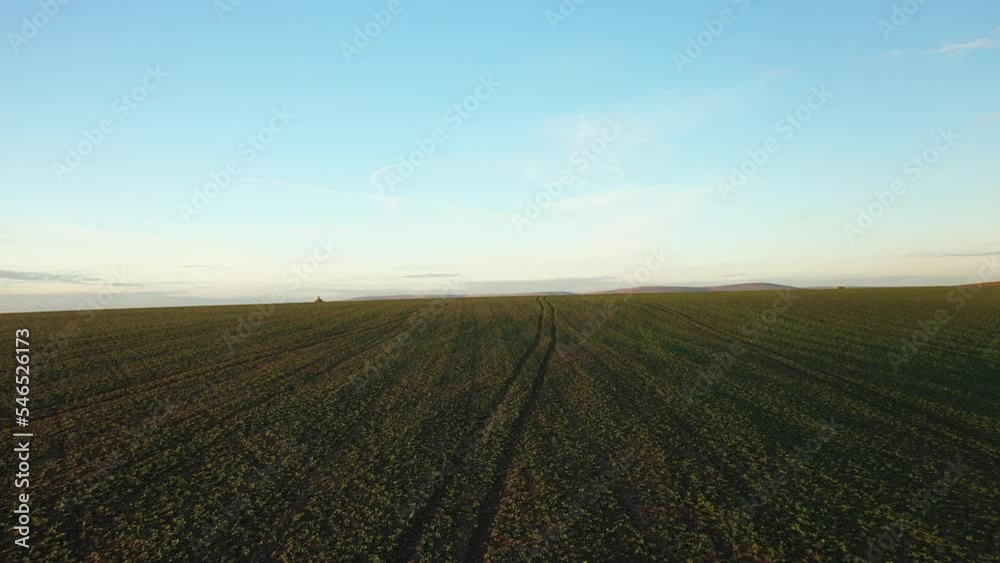 This Batch of clips contains aerial drone shots of some South Devon Fields bathed in glorious golden hour sunset light. There are flying birds,cattle,crops,hedges ,tractor lines and moors. This Batch of clips contains aerial drone shots of some South Devon Fields bathed in glorious golden hour sunset light. There are flying birds,cattle,crops,hedges ,tractor lines and moors.