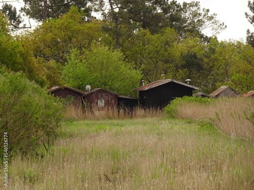 Le plus petit port du Bassin d'Arcachon à Biganos