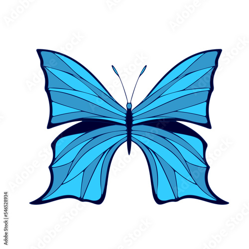 Blue Morpho Helenor, Butterfly , PNG illustration, icon. Butterfly with open wings, top view. photo