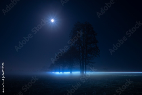 pełnia księżyca we mgle © Robert