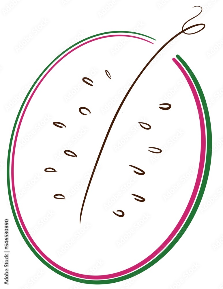 Half of watermelon Half of watermelon