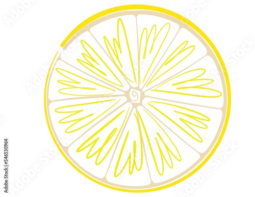 Half of lemon minimalistic illustration art photo