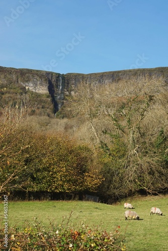 Landscape at Glencar, County Sligo, Ireland featuring sheep grazing in fields against backdrop of cliff face of King's Mountain featuring Devil's Chimney Waterfall (a.k.a Sruth in Aghaidh An Aird)  photo