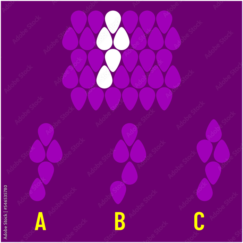 Visual intelligence questions IQ TEST, visual intelligence questions. Find the missing, Find the missing piece