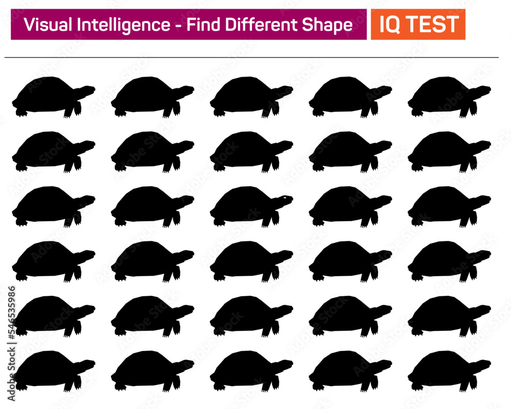 Difference Puzzle Find The Different One Visual Intelligence