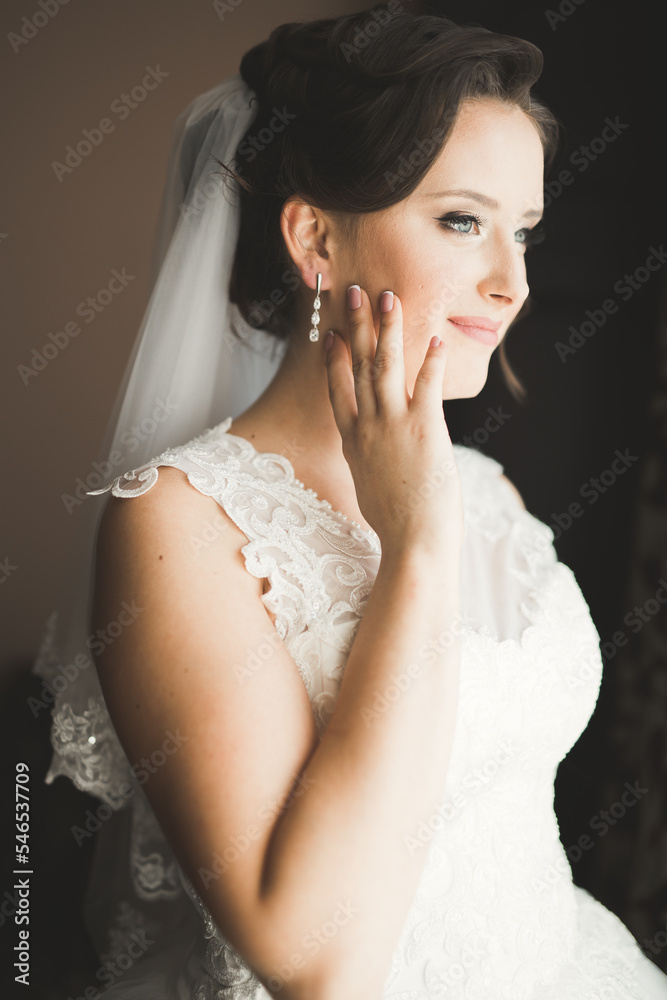 Luxury bride in white dress posing while preparing for the wedding ceremony