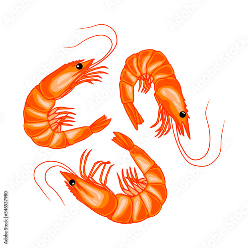 Stock vector shrimps flat cartoon illustration on white background