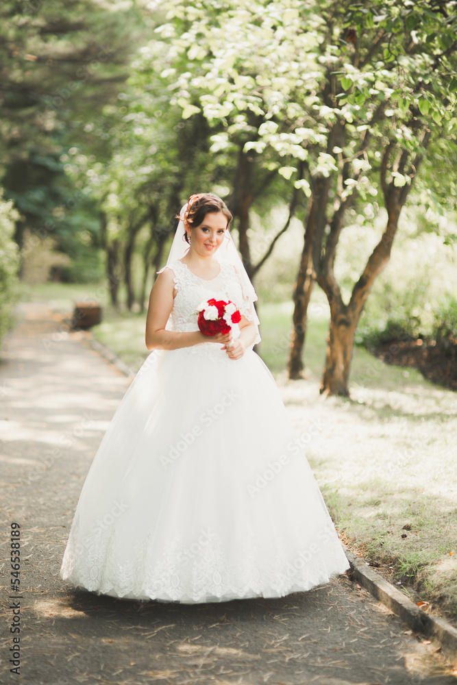 Fototapeta premium Beautiful luxury bride in elegant white dress