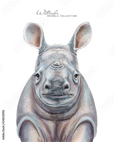 Photography Rhino baby