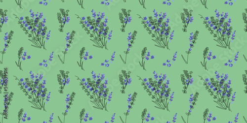 Lavender flower seamless vector pattern. Background design for herbal tea, natural cosmetics, health care products, aromatherapy, homeopathy