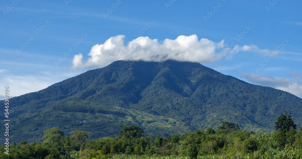 Paddy field Landscape in beautiful day and sky
