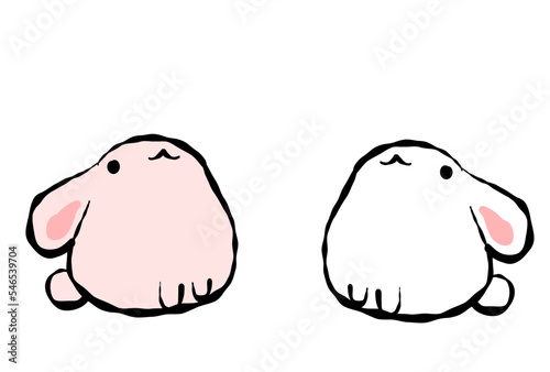 二匹のもちふわうさぎセット