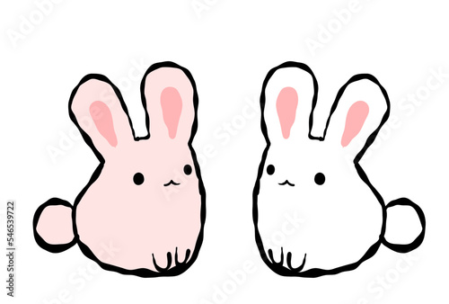 二匹のもちふわうさぎセット