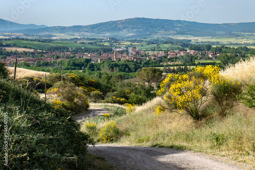 Italian landscape along via Francigena, between Ponte d'Arbia and San Quirico d'Orcia, Tuscany, June 2022