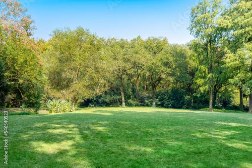 Trees and green lawns under sky