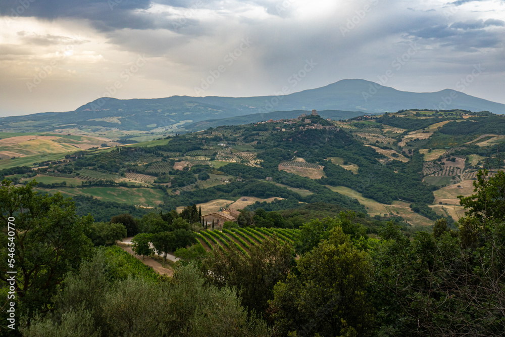 Obraz premium Italian landscape along via Francigena, between San Quirico d'Orcia and Radicofani, Tuscany, June 2022