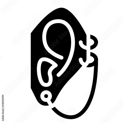 piercing earing accessories fashion icon