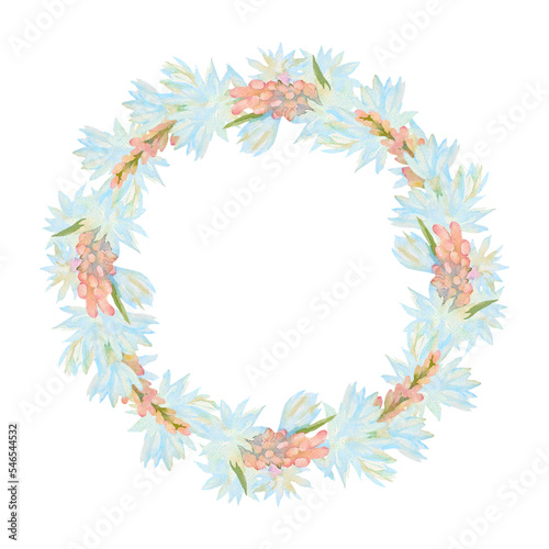 Pink buds and white flowers of Polianthes tuberose. Hand-drawn watercolor wreath. Artistic illustration on a white background.