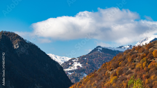 Mountain autumn forest and snow on the peaks