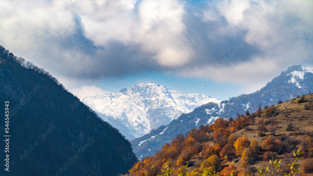 Mountain autumn forest and snow on the peaks