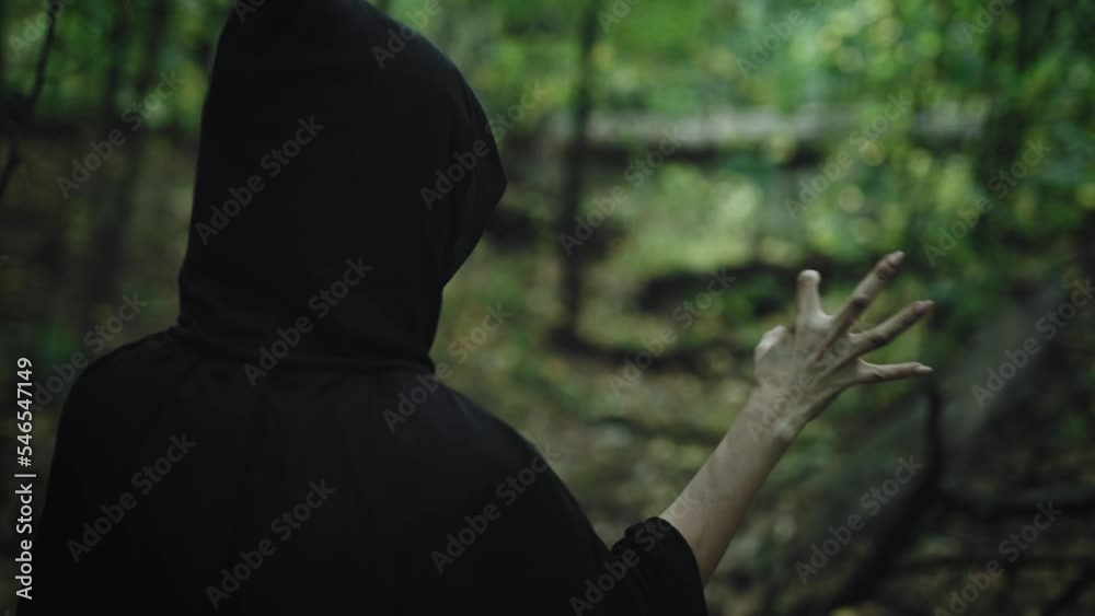 Fear and horror, ancient curses. The witch conjures in the forest ...