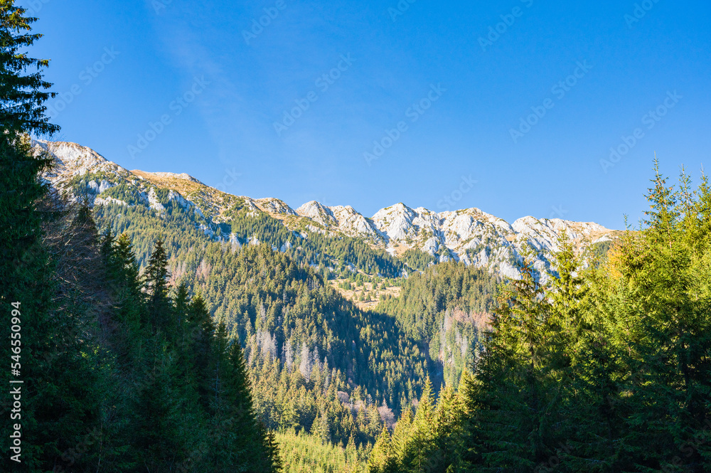 Gipfel in der Piatra Craiului in den Südkarpaten in Rumänien