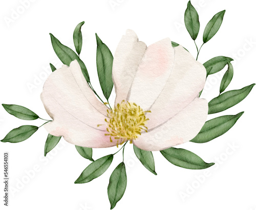 white flower with leaves