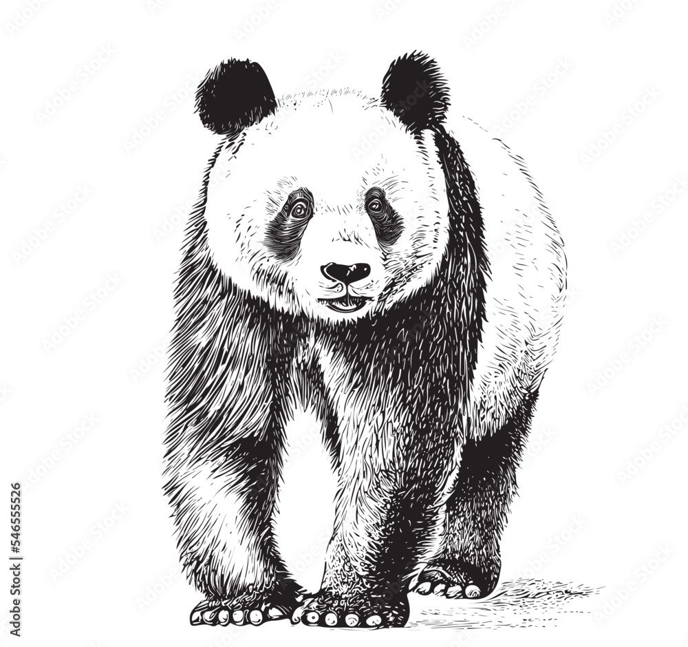 Drawing Panda Face Stock Illustrations – 9,522 Drawing Panda Face Stock  Illustrations, Vectors & Clipart - Dreamstime