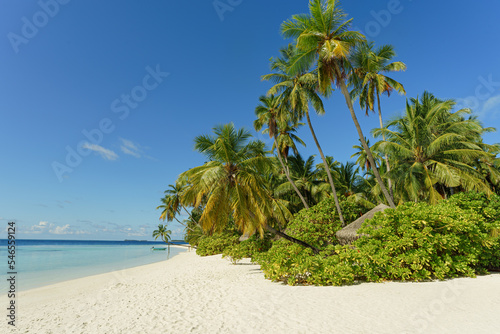 Fototapeta Naklejka Na Ścianę i Meble -  Beach with palm trees and crystal clear water. Idyllic tropical island in summer.