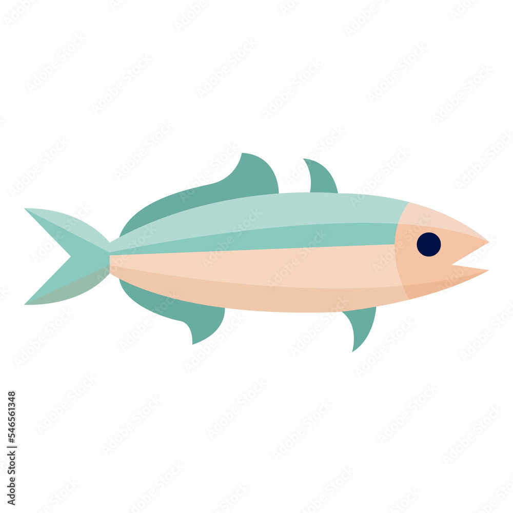 keta fish .Transparency background keta fish .Transparency background