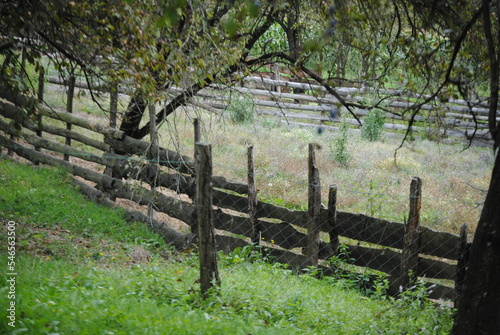 rural old fence in the field