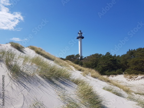 Düne vor Dueodde auf Bornholm photo