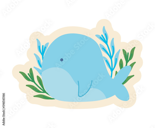ecology whale badge