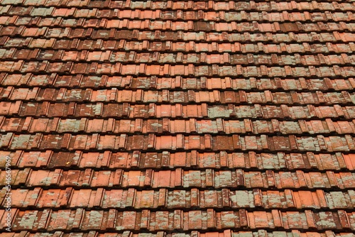 Background  texture  ceramic tile roof overgrown with gray lichen