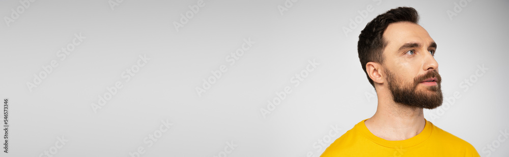 Obraz premium portrait of brunette bearded man looking away isolated on grey, banner.